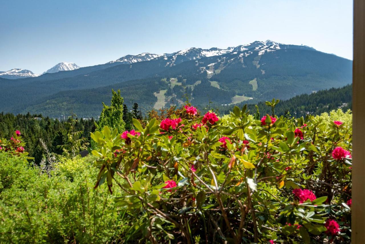 The Ironwood On Blueberry Hill Apartman Whistler Kültér fotó